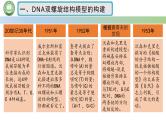 人教版高中生物必修二 3.2DNA的结构 课件