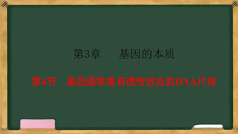 人教版高中生物必修二 3.4基因通常是有遗传效应的DNA片段 课件第1页