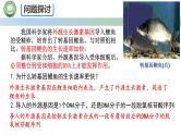 人教版高中生物必修二 3.4基因通常是有遗传效应的DNA片段 课件