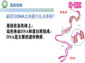 人教版高中生物必修二 3.4基因通常是有遗传效应的DNA片段 课件