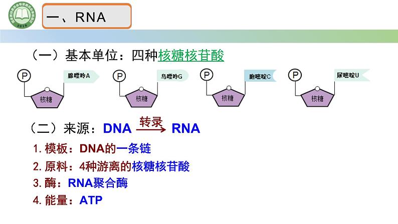 人教版高中生物必修二 4.1基因指导蛋白质的合成 第1课时   遗传信息的转录 课件第5页