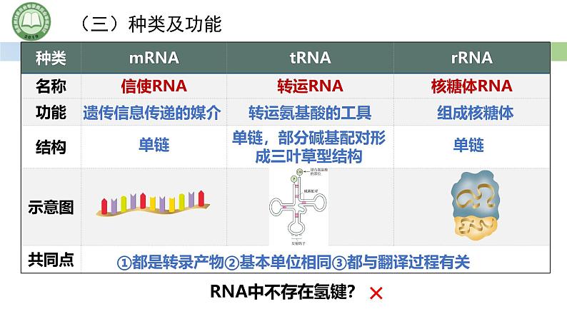 人教版高中生物必修二 4.1基因指导蛋白质的合成 第1课时   遗传信息的转录 课件第6页