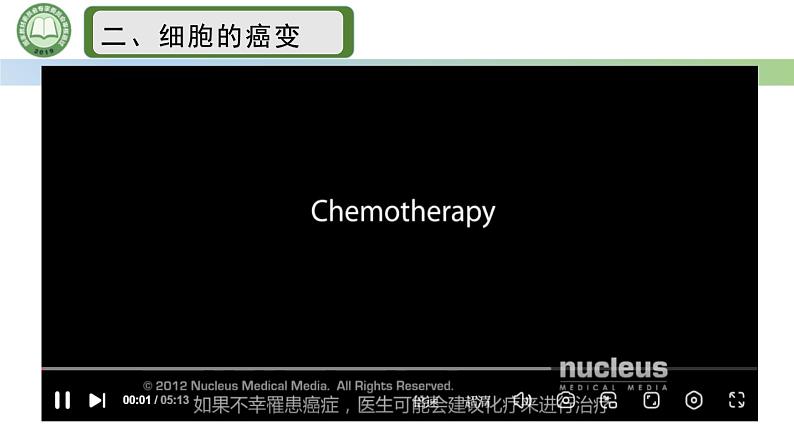 人教版高中生物必修二 5.1基因突变和基因重组 第2课时  细胞癌变基因突变 课件第8页