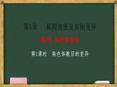 人教版高中生物必修二 5.2染色体变异 第1课时  染色体数目的变异 课件