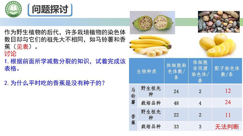 人教版高中生物必修二 5.2染色体变异 第1课时  染色体数目的变异 课件第3页