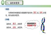 人教版高中生物必修二 5.2染色体变异 第1课时  染色体数目的变异 课件