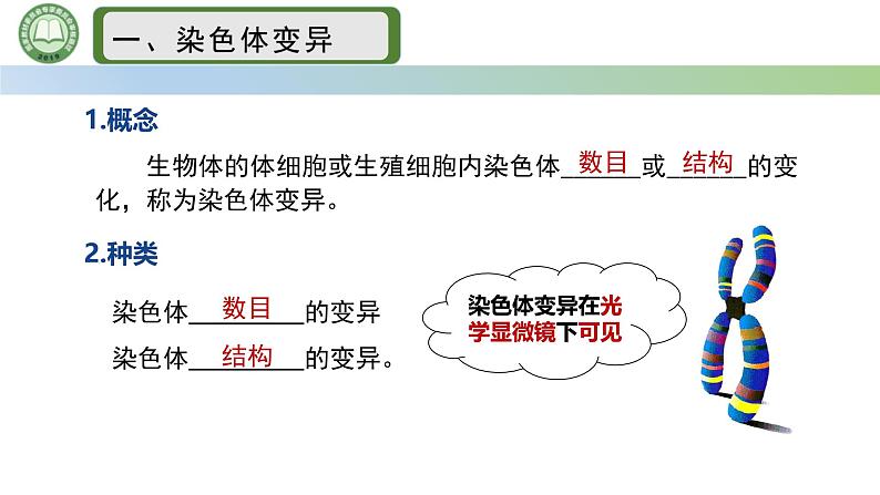 人教版高中生物必修二 5.2染色体变异 第1课时  染色体数目的变异 课件第4页