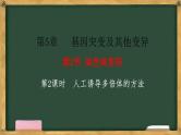 人教版高中生物必修二 5.2染色体变异 第2课时  人工诱导多倍体的方法 课件