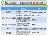 人教版高中生物必修二 5.2染色体变异 第2课时  人工诱导多倍体的方法 课件