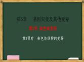 人教版高中生物必修二 5.2染色体变异 第3课时  染色体结构的变异 课件