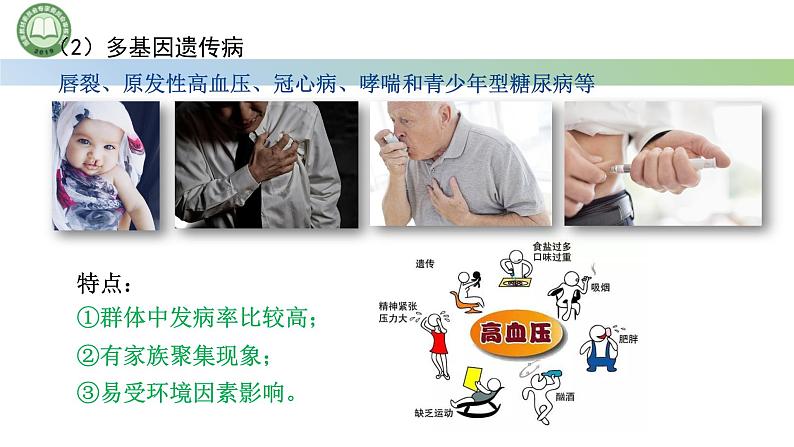 人教版高中生物必修二 5.3人类遗传病 课件第8页