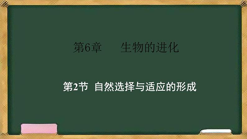 人教版高中生物必修二 6.2自然选择与适应的形成 课件第1页