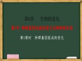 人教版高中生物必修二 6.3种群基因组成的变化与物种的形成 第1课时 种群基因组成的变化 课件