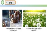 人教版高中生物必修二 6.3种群基因组成的变化与物种的形成 第1课时 种群基因组成的变化 课件