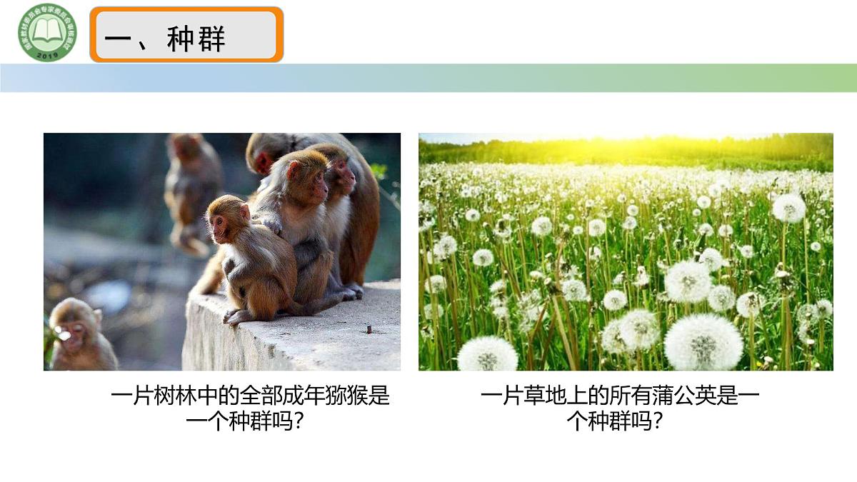 人教版高中生物必修二 6.3种群基因组成的变化与物种的形成 第1课时 种群基因组成的变化 课件第3页