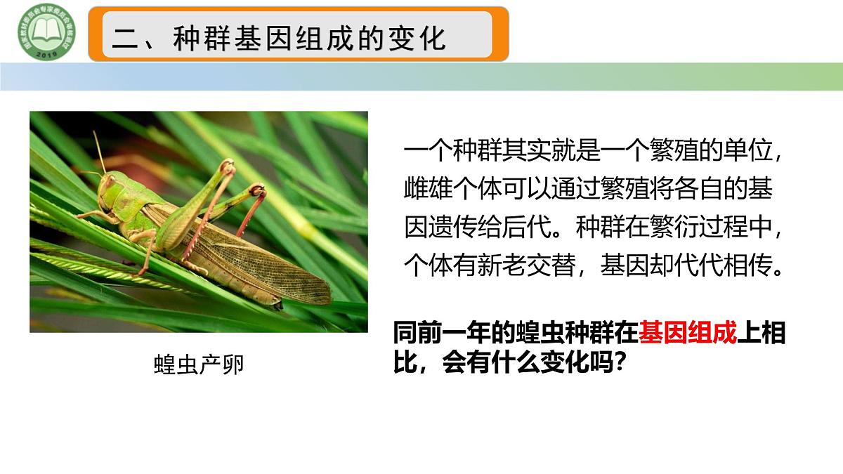 人教版高中生物必修二 6.3种群基因组成的变化与物种的形成 第1课时 种群基因组成的变化 课件第6页
