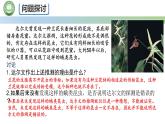 人教版高中生物必修二 6.4协同进化与生物多样性的形成 课件