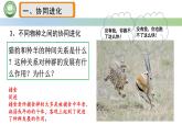 人教版高中生物必修二 6.4协同进化与生物多样性的形成 课件