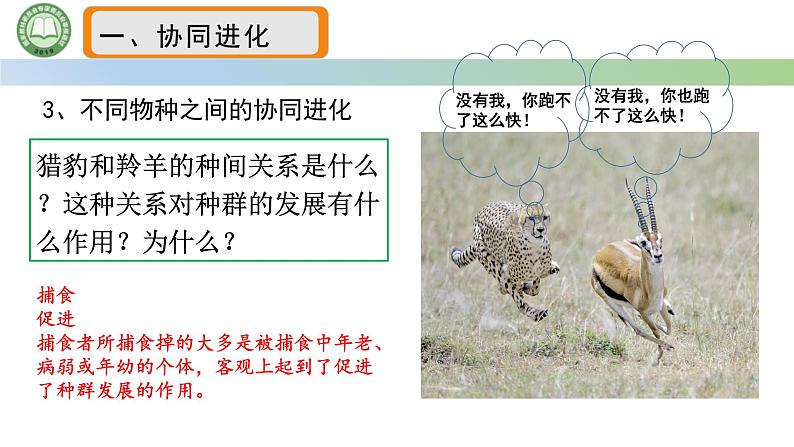 人教版高中生物必修二 6.4协同进化与生物多样性的形成 课件第4页