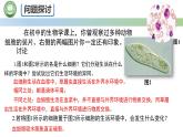 生物人教版（2019）选择性必修1 1.1细胞生活的环境 第1课时 人体内环境和体液课件