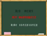 生物人教版（2019）选择性必修1  2.2神经调节的基本方式 第2课时 非条件反射与条件反射课件