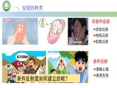 生物人教版（2019）选择性必修1  2.2神经调节的基本方式 第2课时 非条件反射与条件反射课件