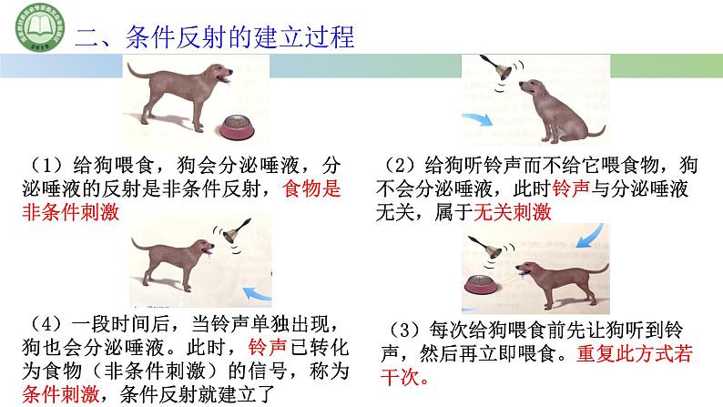 生物人教版（2019）选择性必修1  2.2神经调节的基本方式 第2课时 非条件反射与条件反射课件第6页