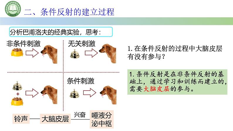 生物人教版（2019）选择性必修1  2.2神经调节的基本方式 第2课时 非条件反射与条件反射课件第7页