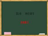 生物人教版（2019）选择性必修1  第2章 神经调节总结复习与习题讲解课件