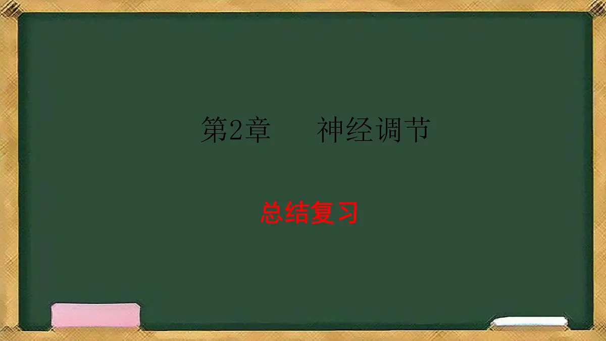 生物人教版（2019）选择性必修1 第2章 神经调节总结复习与习题讲解课件第1页