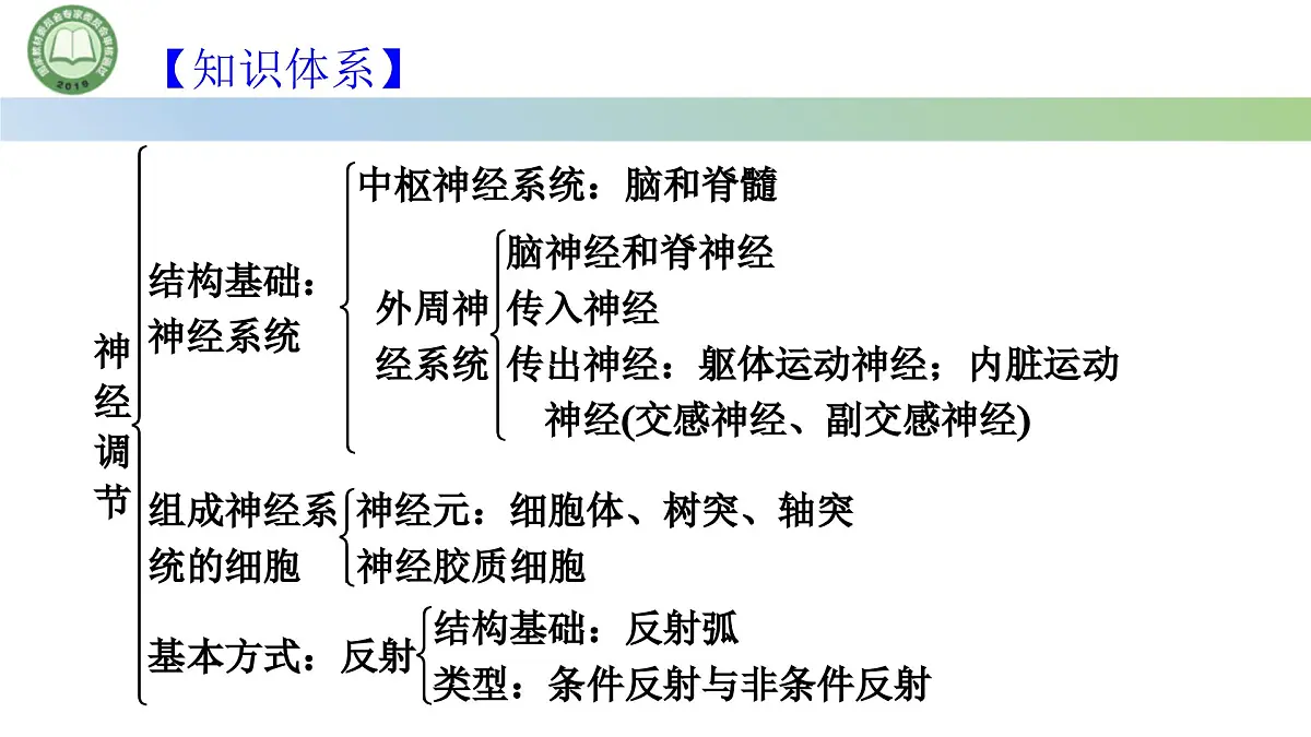 生物人教版（2019）选择性必修1 第2章 神经调节总结复习与习题讲解课件第2页