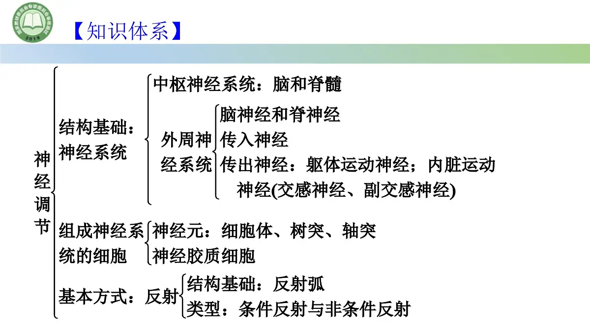生物人教版（2019）选择性必修1 第2章 神经调节总结复习与习题讲解课件第3页
