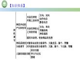 生物人教版（2019）选择性必修1  第2章 神经调节总结复习与习题讲解课件