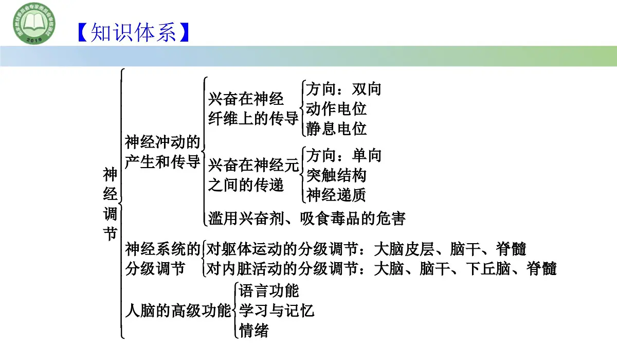 生物人教版（2019）选择性必修1 第2章 神经调节总结复习与习题讲解课件第4页
