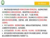 生物人教版（2019）选择性必修1  第2章 神经调节总结复习与习题讲解课件