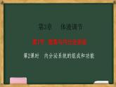 生物人教版（2019）选择性必修1  3.1激素与内分泌系统  第2课时 内分泌系统的组成和功能课件