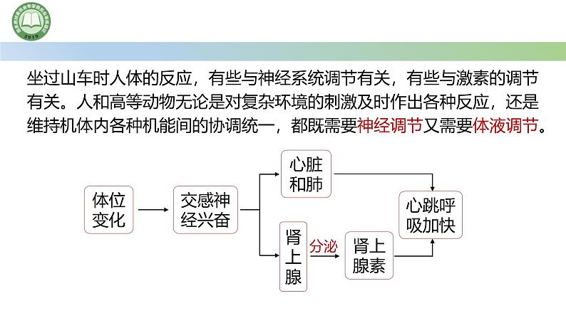 生物人教版（2019）选择性必修1  3.3体液调节与神经调节的关系 第1课时 体液调节与神经调节的关系课件第4页