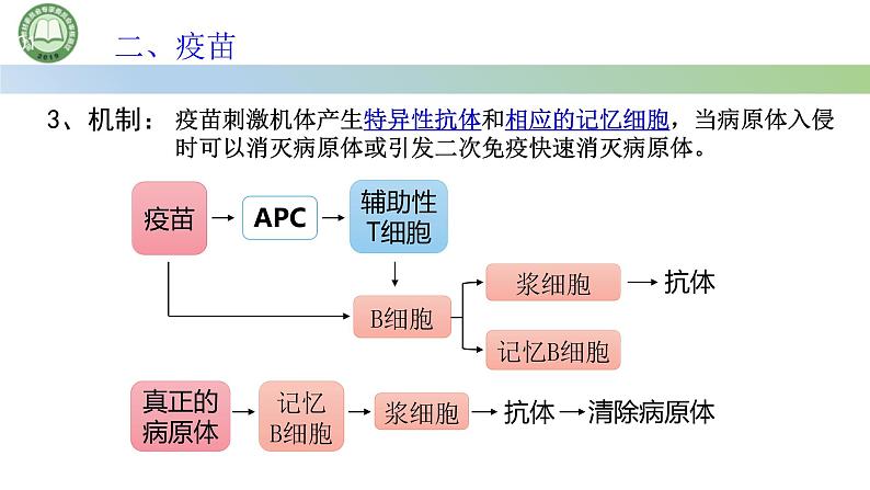 生物人教版（2019）选择性必修1  4.4免疫学的应用 第1课时 疫苗课件第7页