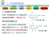 生物人教版（2019）选择性必修1  5.1植物生长素 第2课时 生长素的发现过程（二）课件