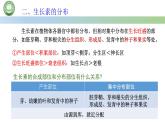 生物人教版（2019）选择性必修1  5.1植物生长素 第3课时 生长素的合成、运输与分布课件