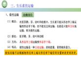 生物人教版（2019）选择性必修1  5.1植物生长素 第3课时 生长素的合成、运输与分布课件