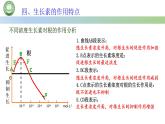生物人教版（2019）选择性必修1  5.1植物生长素 第4课时 生长素的生理作用课件