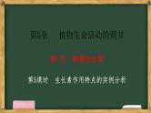生物人教版（2019）选择性必修1  5.1植物生长素 第5课时 生长素作用特点的实例分析课件