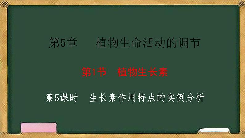 生物人教版（2019）选择性必修1  5.1植物生长素 第5课时 生长素作用特点的实例分析课件第1页