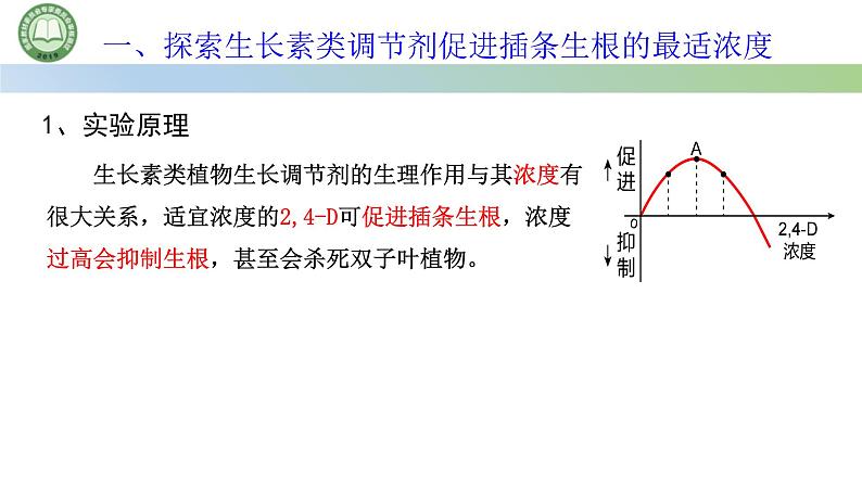 生物人教版（2019）选择性必修1  5.3植物生长调节剂的应用 第2课时 探索植物生长调节剂的应用课件第3页