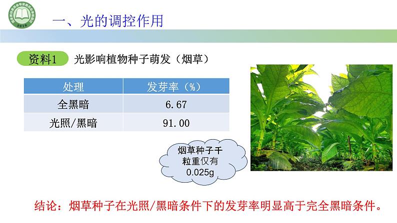 生物人教版（2019）选择性必修1  5.4环境因素参与调节植物的生命活动 第1课时 光对植物生长发育的调节课件第5页