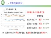 生物人教版（2019）选择性必修2  1.1种群的数量特征 第2课时 种群的特征课件
