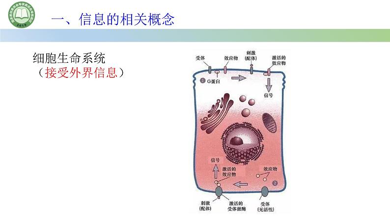 生物人教版（2019）选择性必修2  3.4生态系统的信息传递 第1课时 生态系统的信息传递课件第6页