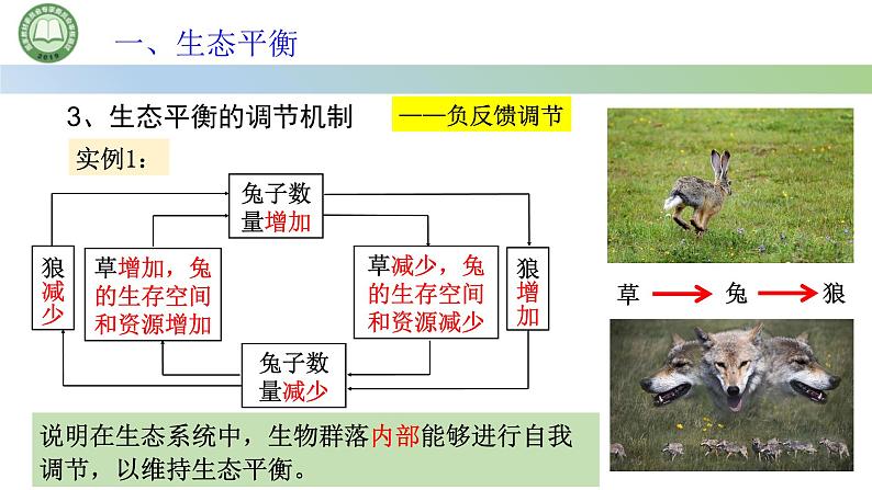 生物人教版（2019）选择性必修2  3.5生态系统的稳定性 第1课时 生态平衡与生态系统的稳定性 课件第8页
