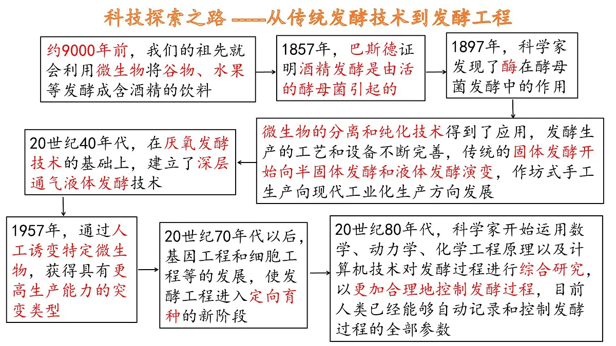 高中生物人教版选择性必修3 1.1传统发酵技术的应用 第1课时 发酵与传统发酵技术 课件第5页